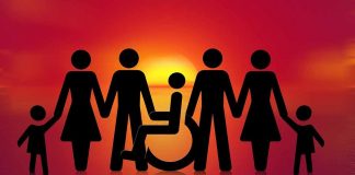 disability studies
