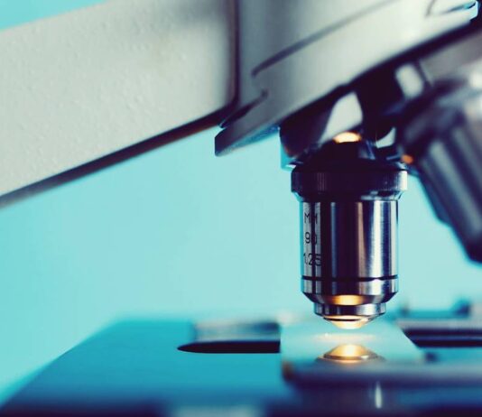 미국 연구석사 과정 풀펀딩 Entomology, Biological Sciences