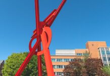 University of Michigan Ann Arbor, Sociology 사회학 전공 편입학 합격