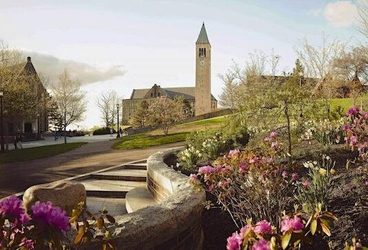 미국 경영공학 석사과정 코넬대학교 2025 합격 미국 경영공학 석사과정 코넬대학교 2025 합격