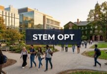 STEM OPT와 전공 선택, 취업까지 고려한 미국 석사 진학 STEM OPT와 전공 선택, 취업까지 고려한 미국 석사 진학
